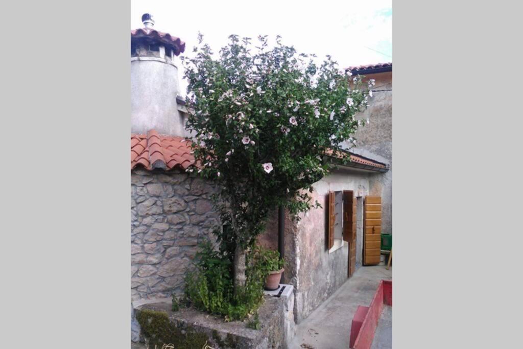 Vacation Home Marinici Mošćenička Draga Eksteriør billede